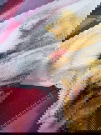 Blood and mucus in my lo stool