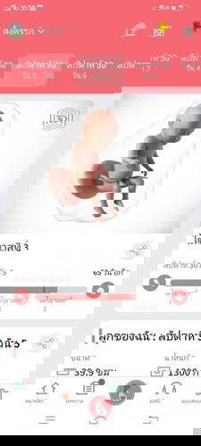 ทีมคลอดเดือนมีนาคม