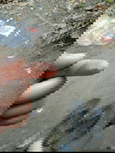 ขอสอบถามแม่ๆหน่อยค่ะ