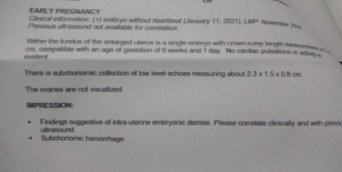 EMBRYONIC DEMISE