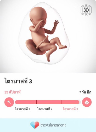 กำหนด30มกราคม ยังเงียบอยู่เลย
