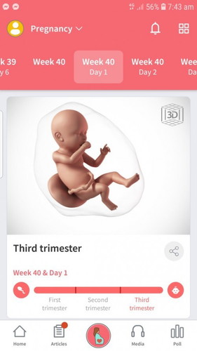 No sign of labor advice please😭