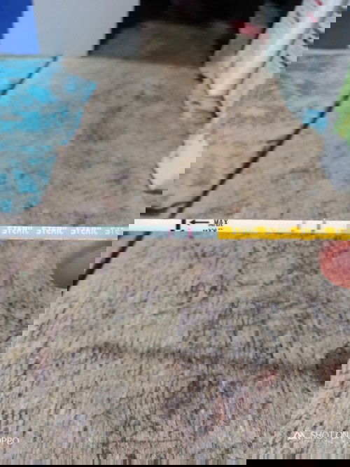 Cari info dari bunda2 yang udh berpengalaman