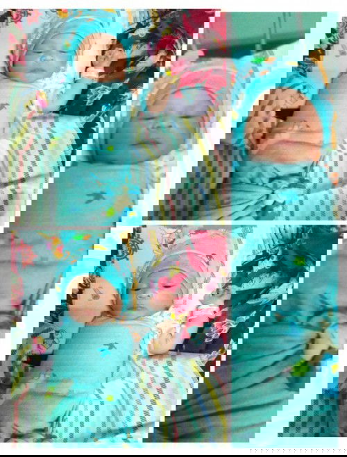 Hpl 3feb launcing 22jan