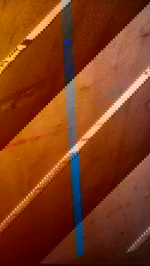 Mau tanya donk bun.saya telat 10 hari. Tes garis dua. Apa dh bisa di cek ke dokter blm ya usg.