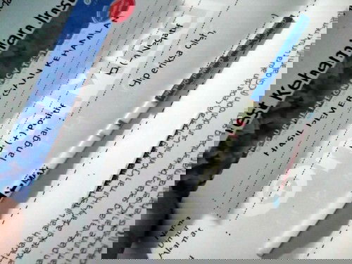 Pemula 😁 mohon masukannya