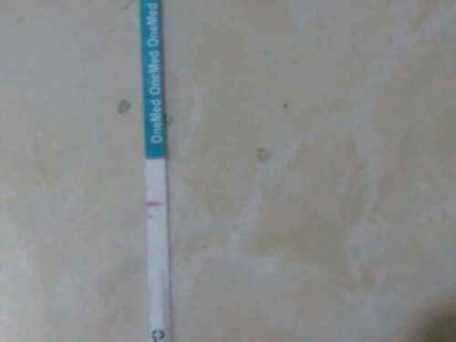 Seputaran kehamilan