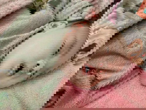 กินแล้วก็นอน❤️❤️