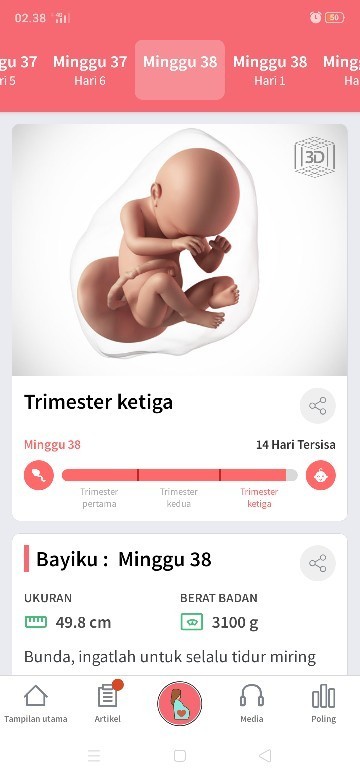 Dekat hpl perut bagian bawah sakit