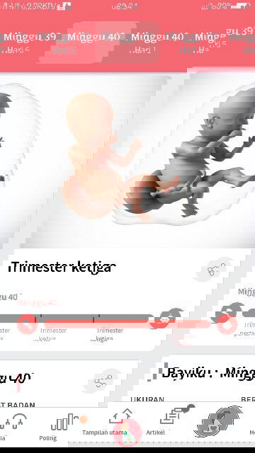 Apa ada yg sama kaya saya