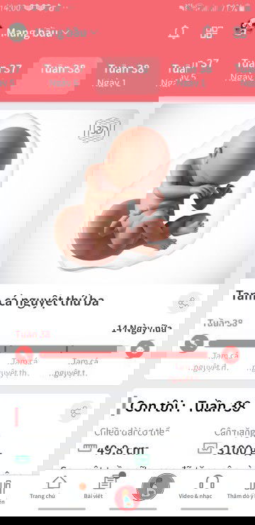 Xin vía chuyển dạ