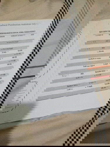 Jadwal pemberian makanan bayi
