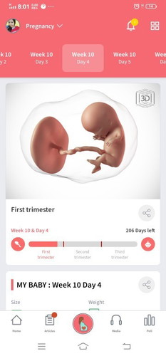 Pregnancy