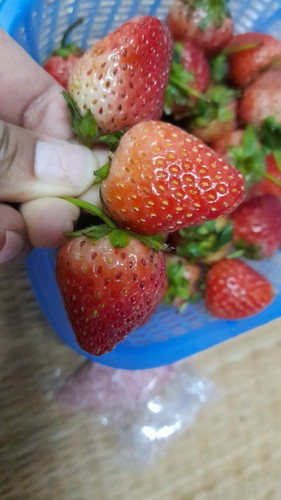 ไตรมาสแรก กินจุกันมั้ย??