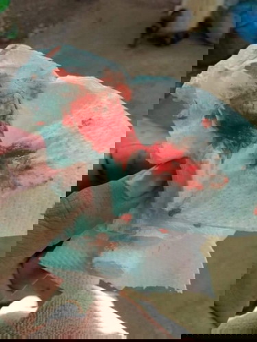 แม่ๆบ้านไหนเป็นบ้างคะ