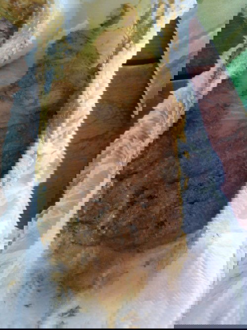 น้องทานนมผง ถ่ายทุกวัน ถ่ายลักษณะนี้ผิดปกติไหมค่ะ