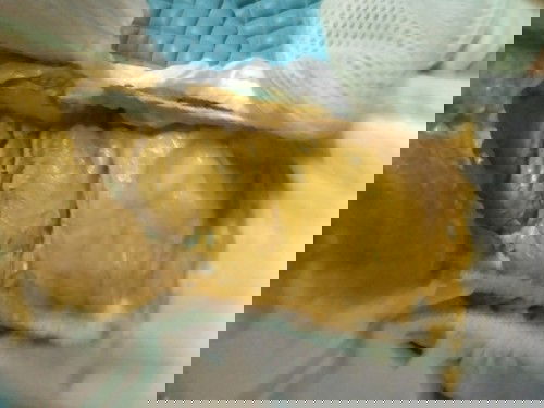 najis bayi umur sebulan lebih