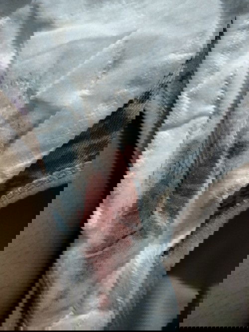 KELUAR FLEK DARAH WARNA FANTA SUSU (PINK) USIA KANDUNGAN 5W4D