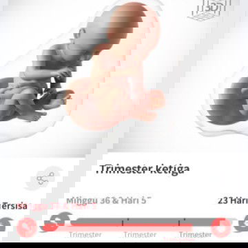 Semoga cepet lahir sebelum hpl