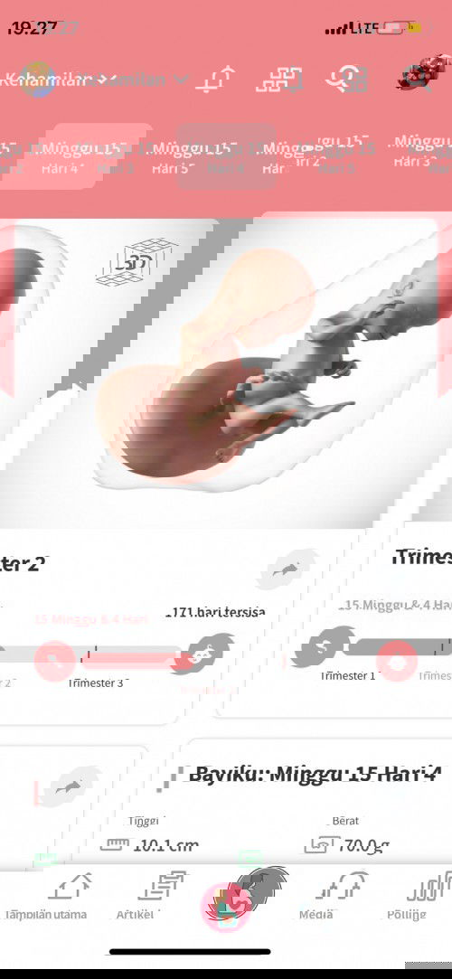 Mual muntah di trimester 2