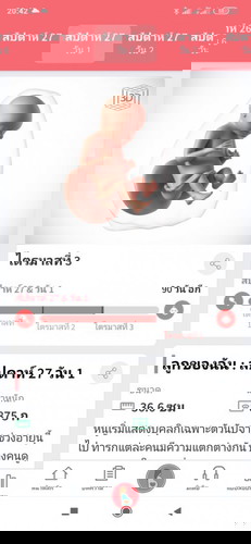 เดินทางไกลจะมีอันตรายกับครรภ์มั้ย