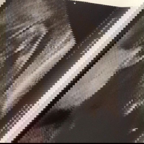 ช่วยดูให้หน่อยเพศอะไร