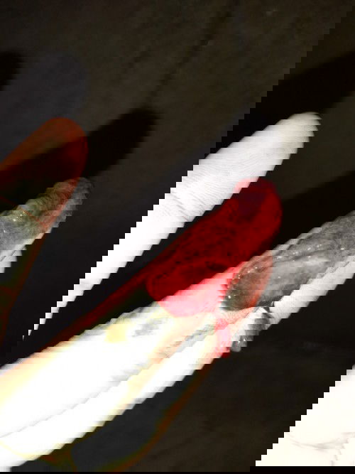 Haid setelah telat 15 hari