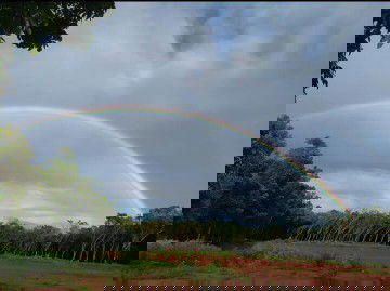 Obat untuk gusi bengkak dan susah nelen apa yahh? Nyampe ga bisa tidur tolong dong yg tau di shre ya