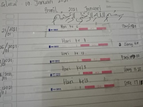 Menghitung masa subur