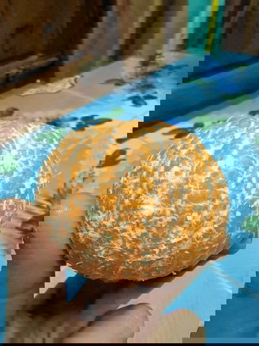 กินเยอะเป็นไรมั้ย