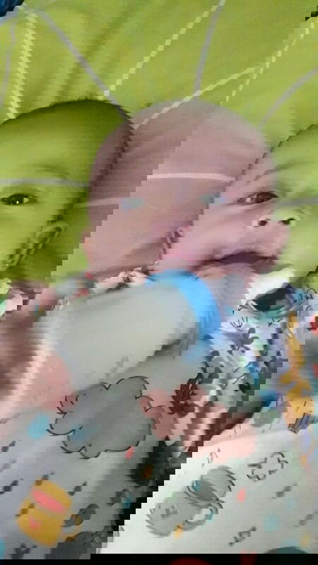 anak sufor dikatain anak sapi