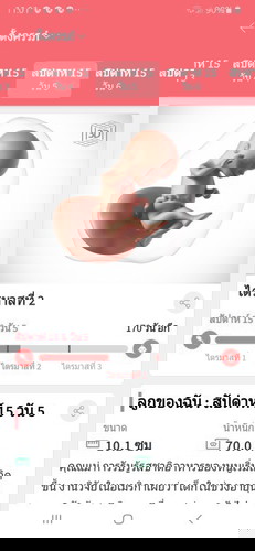 อยากรู้ว่าท้อง2ลูกเริ่มตอดกันกี่วีคค่ะ บ้านนี้15+5วีคยังเงียบเหมือนไม่มีอะไรอยู่ในท้องเลยท้องก็
