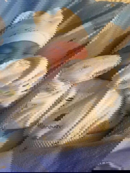 King Asaiah (The Lord hath Made)