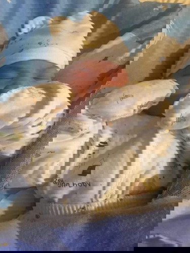 King Asaiah (The Lord hath Made)