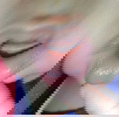 ดอกไม้จะโผล่