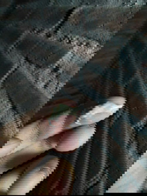 Solusiuntukkeputihan