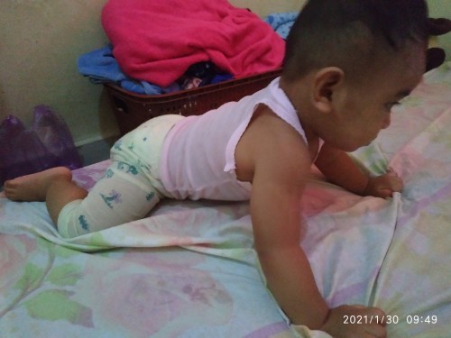 Tentang perkambangan bayi