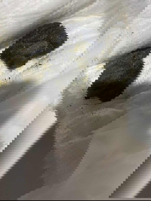 ลูกถ่ายเป็นก้อนสีเขียวขี้ม้าปนดำ