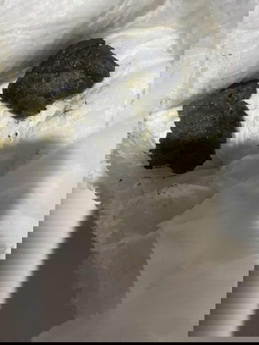 ลูกถ่ายเป็นก้อนสีเขียวขี้ม้าปนดำ