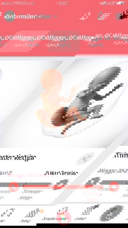 Menunggu Gelombang Cinta