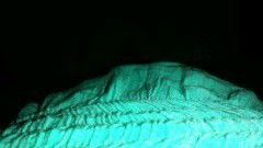 Kehamilan trisemester ke-2