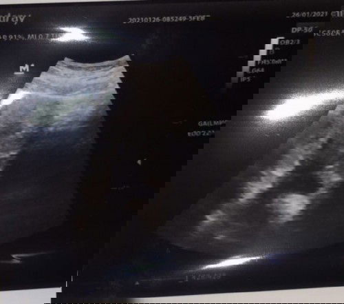 HPHT 16 Desember 2020