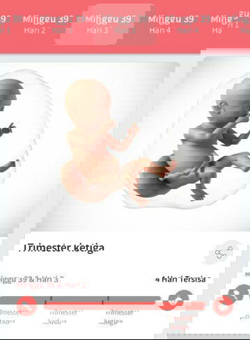 Mohon keikhlasan do'anya