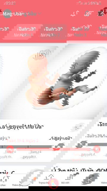 Thai 39w2day nay giờ e đau 2 ben hông khó thở đi ws rat nhiều co phải e sap đẻ r k ak