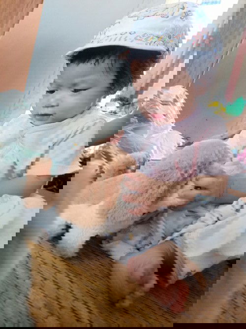 ลูกน้ำหนักตัวน้อย