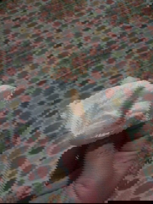 ท้องได้ 39W+3D แล้วค่ะ