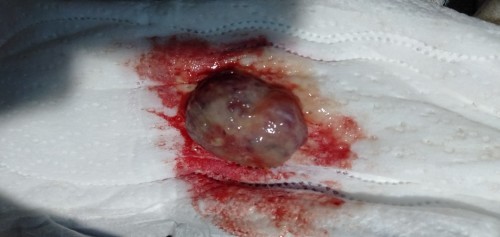 สอบถามหน่อยค่ะ