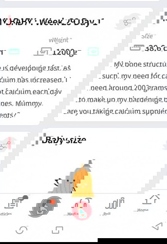 How much Calcium intake per day?