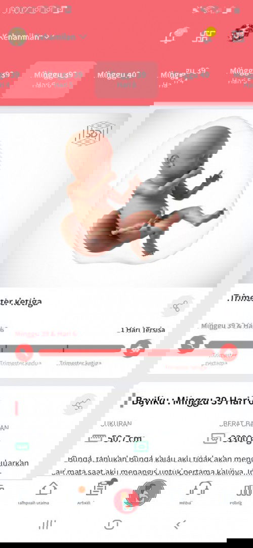 Menunggu gelombang cinta