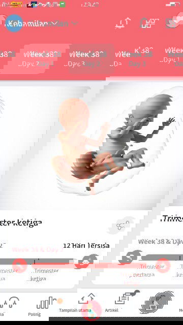 Menunggu gelombang cinta